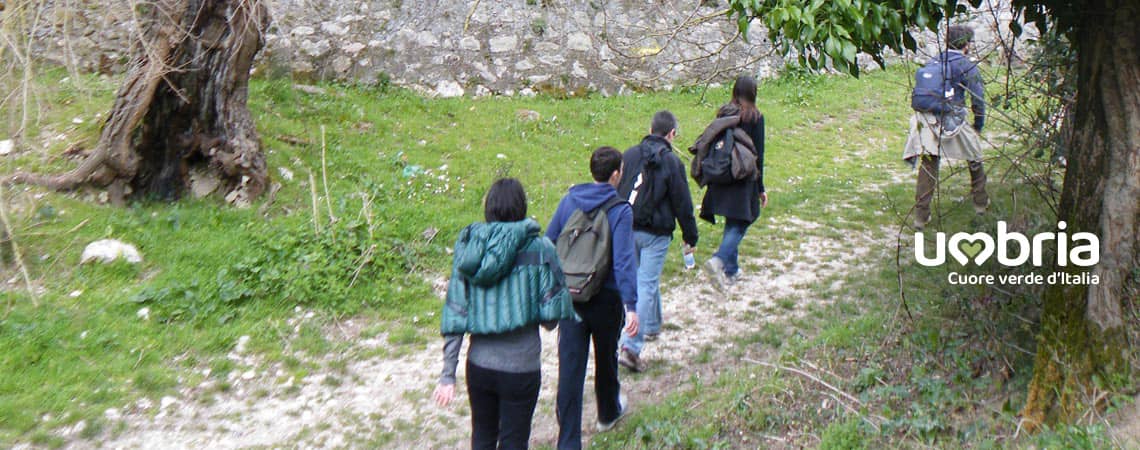 experience of life in track and in franciscan place